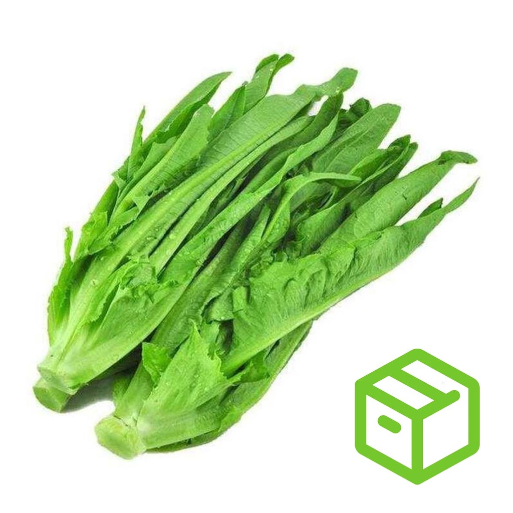 A Choy A菜（箱装）