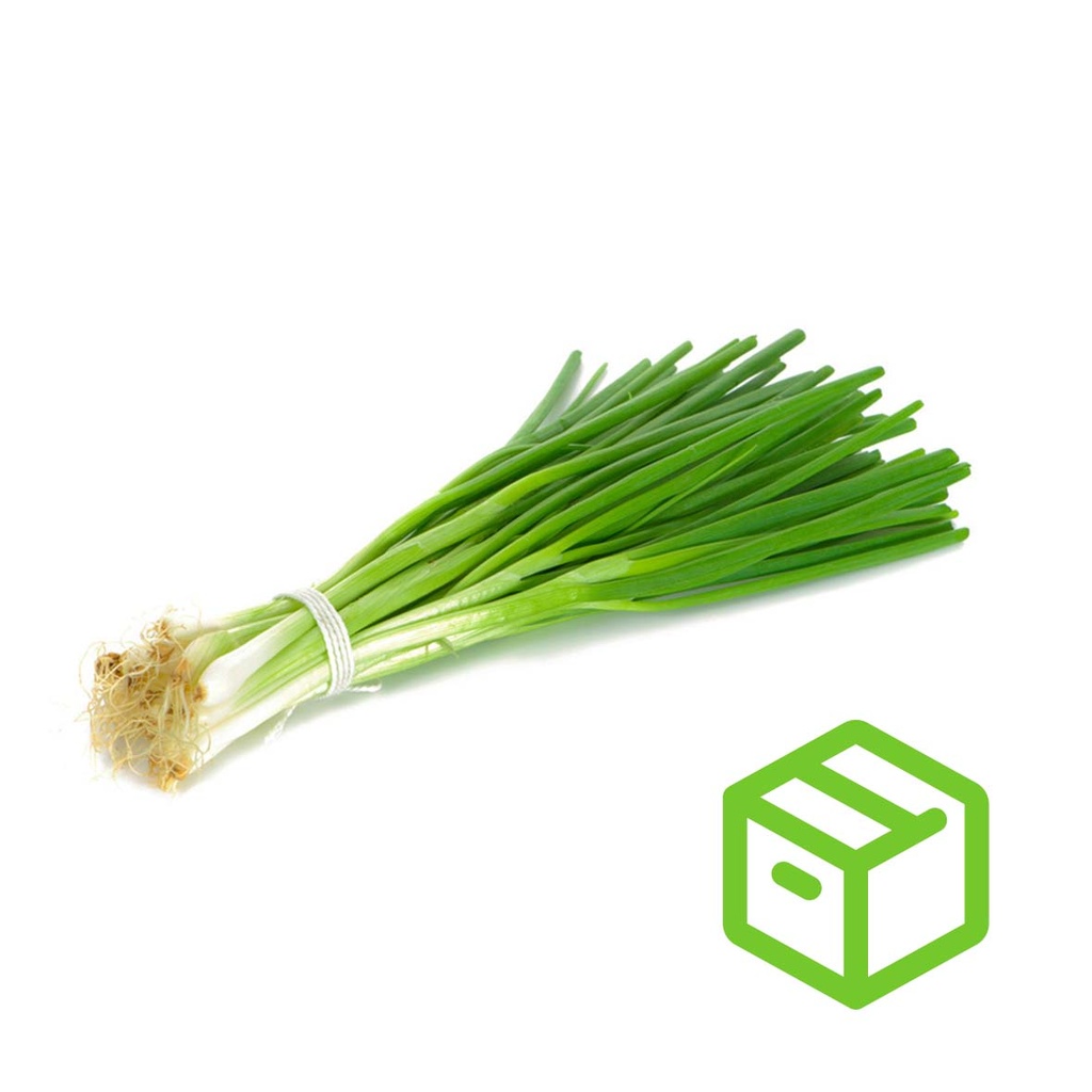 GREEN ONION ICELESS 包装青葱（箱装）