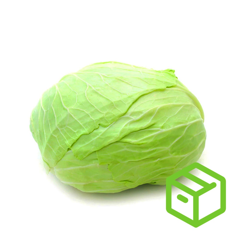 KOREAN CABBAGE 高丽菜（箱装）