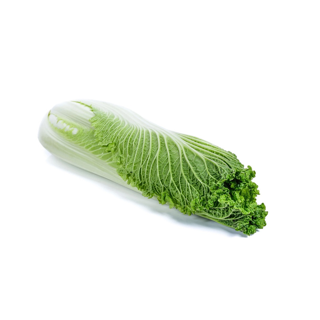 LONG NAPA  长绍菜 (Case箱装）