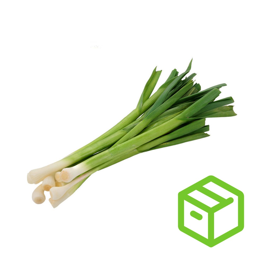 SMALL LEEK  蒜苗 (Case箱装）