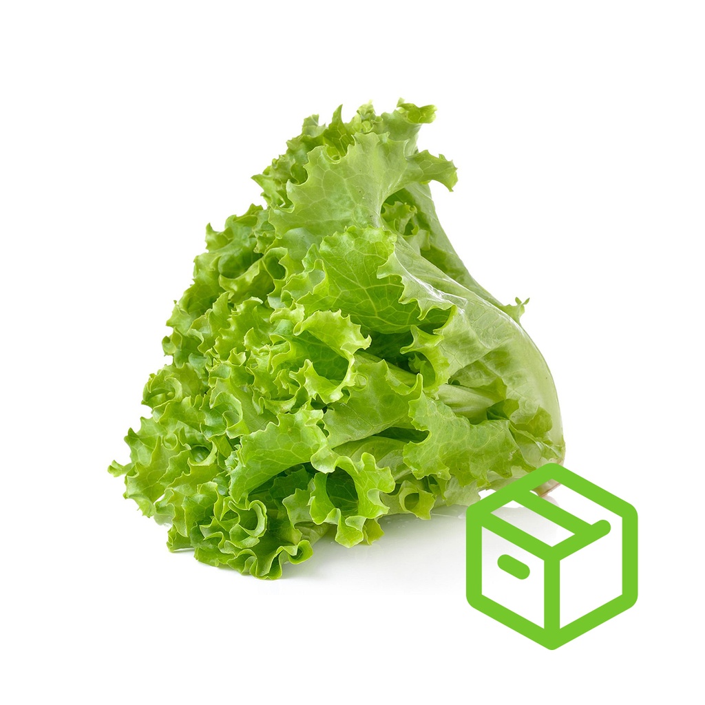 GREEN LEAFY  唐生菜（箱装）