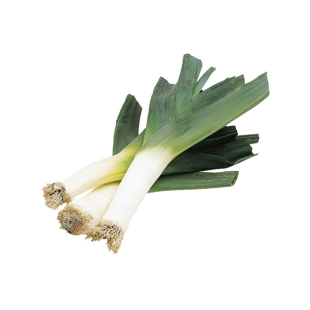 BIG LEEK  大蒜 (Bunch 扎）