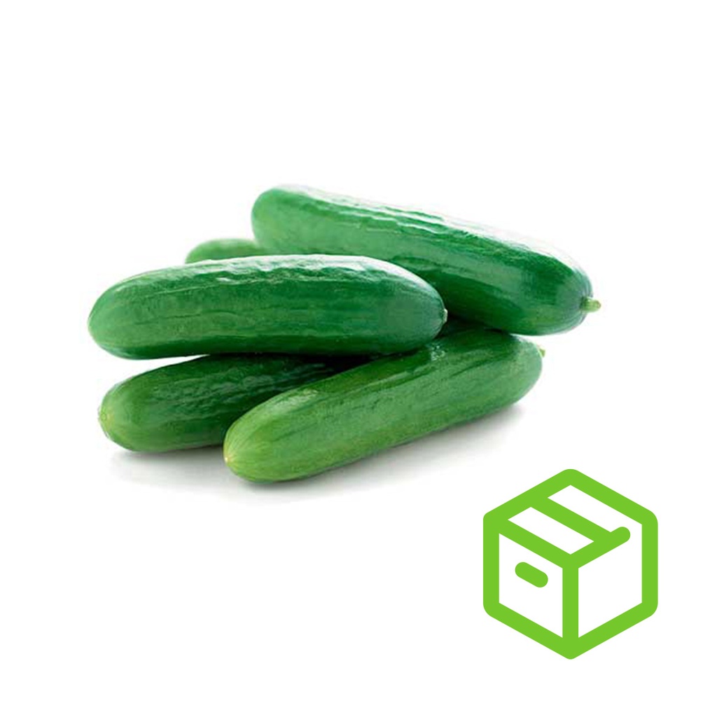 MINI CUCUMBER  迷你青瓜 （Box盒装）