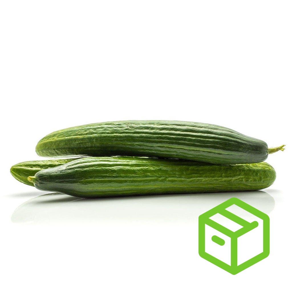 CUCUMBER-  青瓜（箱装）