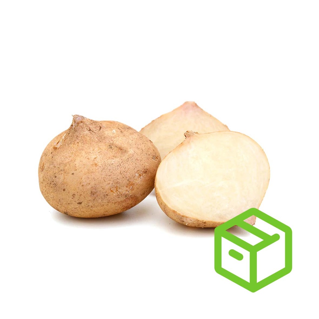JICAMA 沙葛（箱装）