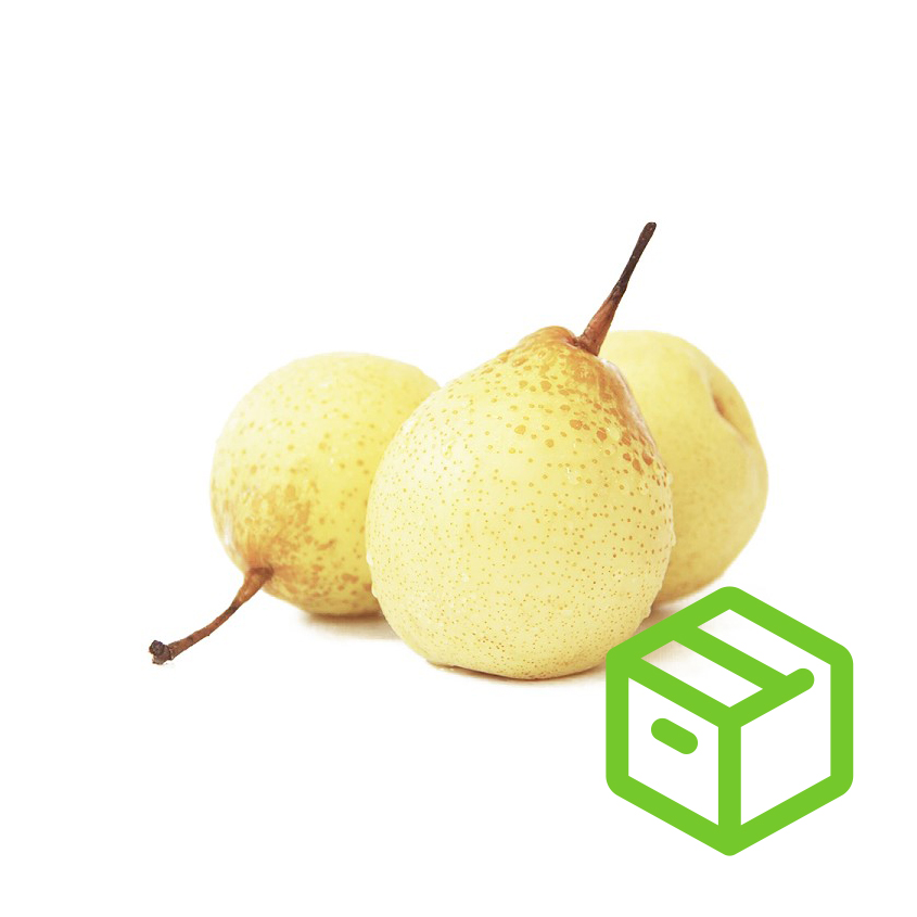 YA PEAR 鸭梨 (Case箱装）