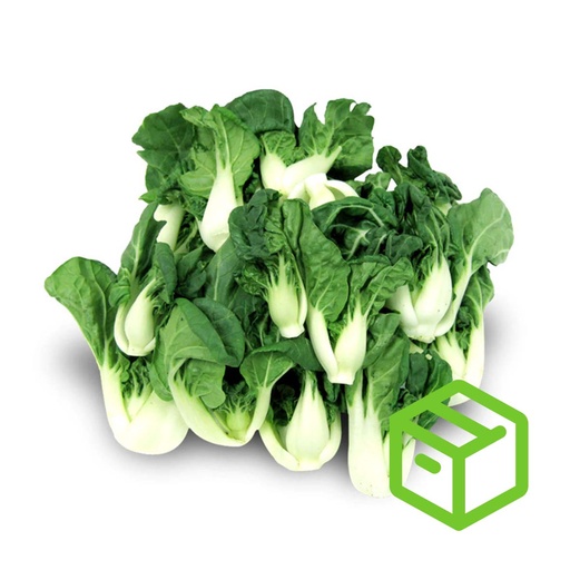 BABY BOK CHOY TIPS 白菜苗（箱装）