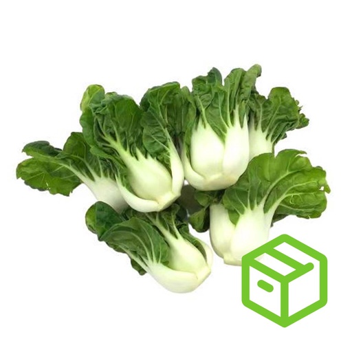 BABY BOK CHOY  奶油白菜（箱装）