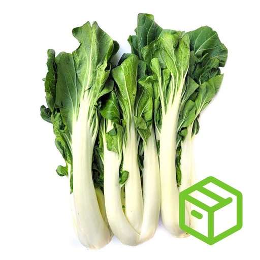 BIG PAK CHOY 大白菜（箱装）