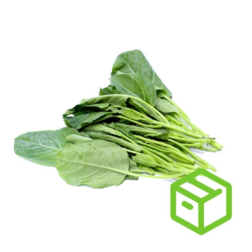 CHINESE BROCCOLI TIPS  芥兰苗（箱装）