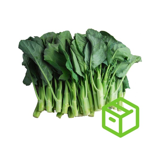CHINESE BROCCOLI  芥兰（箱装）