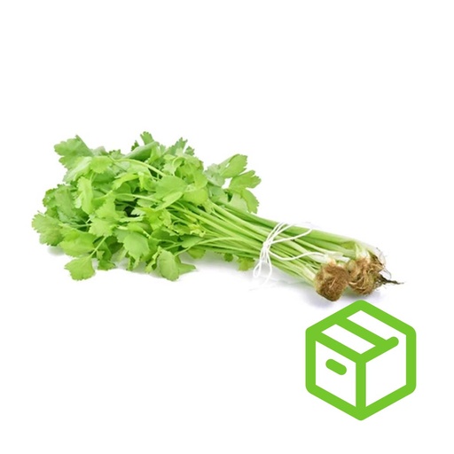 CHINESE CELERY WHITE 白唐芹（箱装）