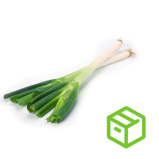 CHINESE LEEK  京葱（箱装）
