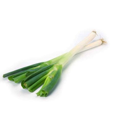 CHINESE LEEK  京葱 (Bunch扎 )