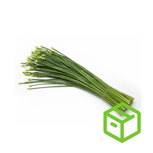 CHIVE STEM 韭菜花（箱装）