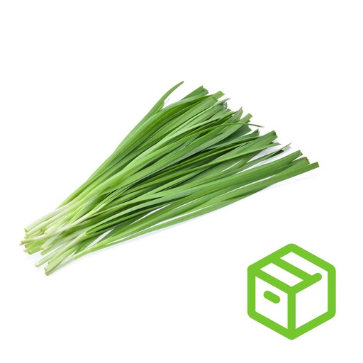 CHIVE  韭菜（箱装）