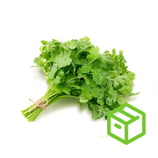 CILANTRO 芫茜（箱装）