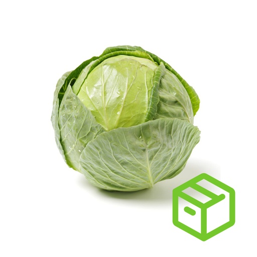 CABBAGE GREEN 椰菜（箱装）