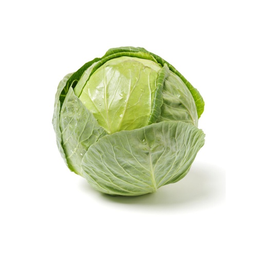CABBAGE GREEN  椰菜 （Piece个）
