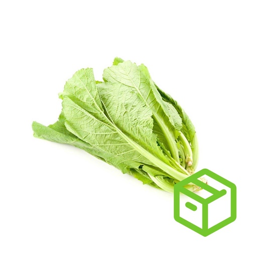 MUSTARD GREEN 芥菜仔（箱装）