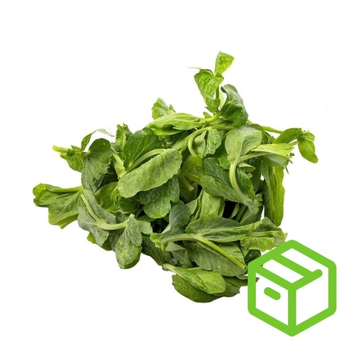 PEA TIPS 豆苗（箱装）