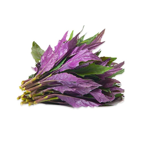 PURPLE CHOY SUM 红凤菜 (Case箱装）