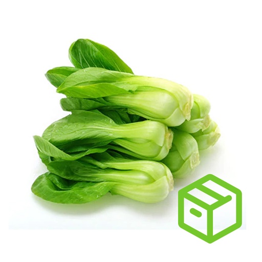 SHANGHAI TIPS上海苗（箱装）