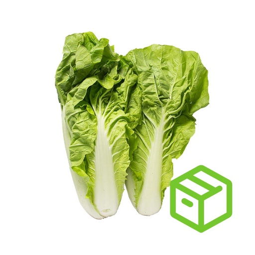 TAIWAN BOK CHOY 福州白菜（箱装）