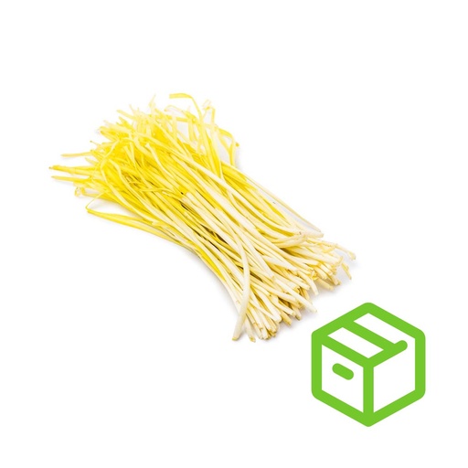 YELLOW CHIVE 韭黄（箱装）