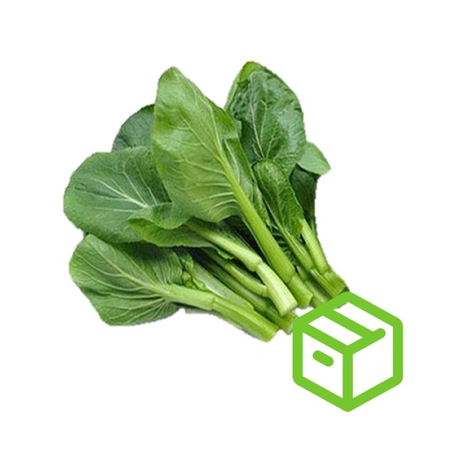 YU CHOY SUM 油菜（箱装）