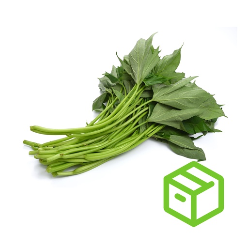 YAM LEAF 蕃薯叶（箱装）