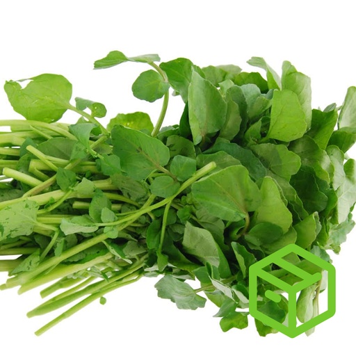 WATER CRESS  西洋菜（箱装）