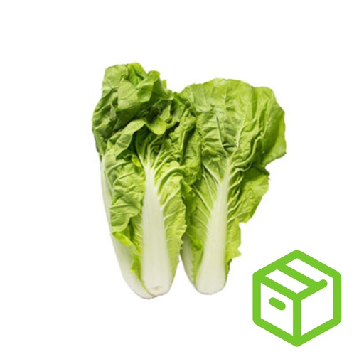 SWEET BOK CHOY  台湾白菜（箱装）