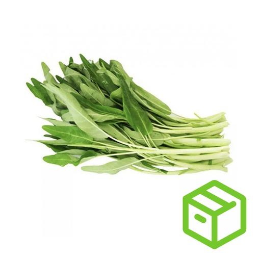 ON CHOY WHITE 白通菜（箱装）