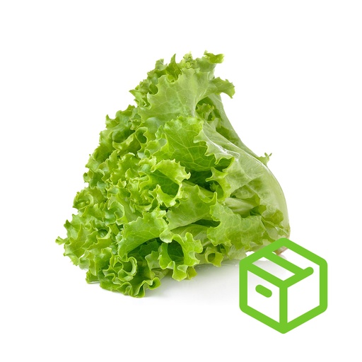 GREEN LEAFY  唐生菜（箱装）