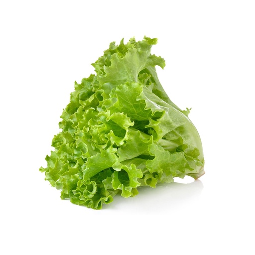 GREEN LEAFY  唐生菜 (Bunch扎 )