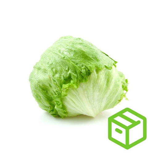 ICEBERG LETTUCE 西生菜（箱装）