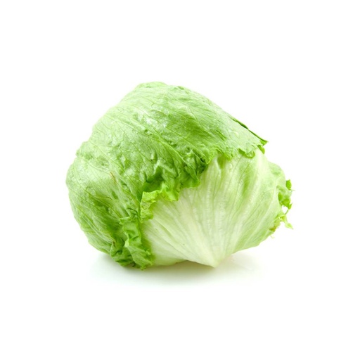 ICEBERG LETTUCE  西生菜  (Piece个）