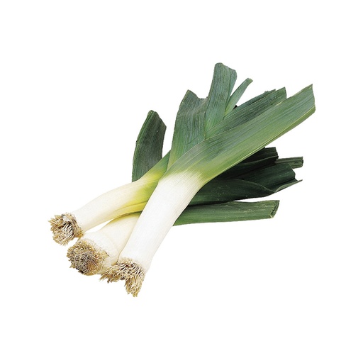 BIG LEEK  大蒜 (Bunch 扎）