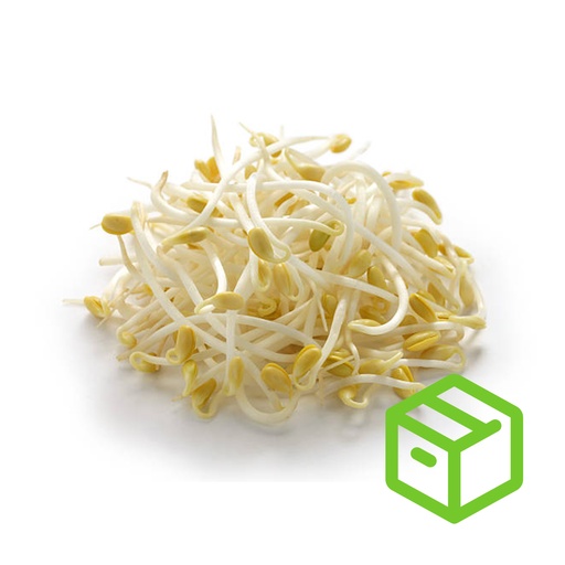 SOY BEAN SPROUT 大豆芽（箱装）