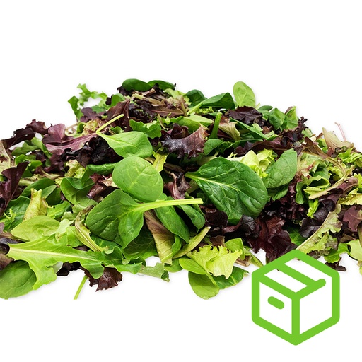 SPRING MIX 沙律菜（箱装）