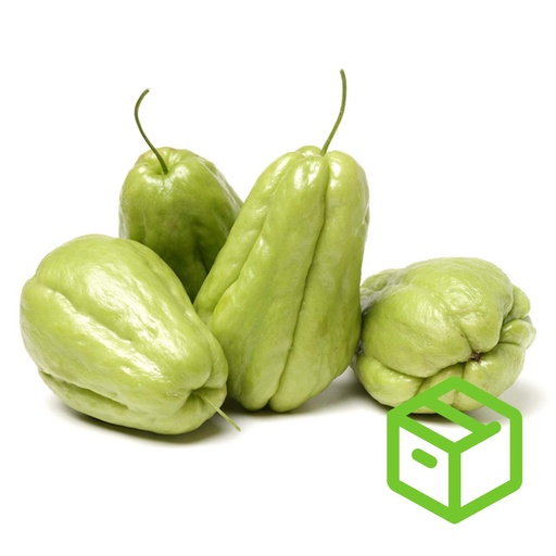 CHAYOTE 合掌瓜（箱装）