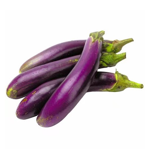 EGGPLANT - CHINESE  茄瓜（箱装）