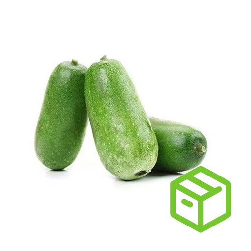 FUZZY SQUASH 节瓜（箱装）