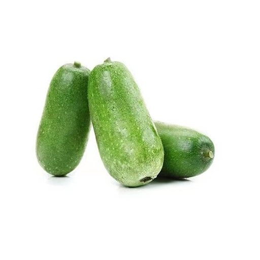 FUZZY SQUASH 节瓜 (LB磅)