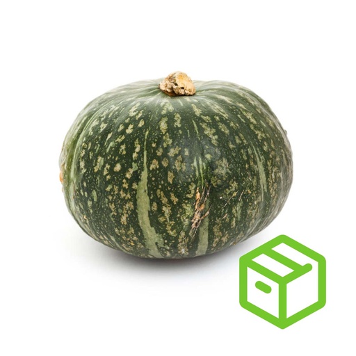 KABOCHA 南瓜仔（箱装）