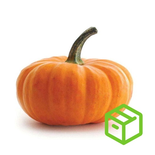 Pumpkin 大南瓜（Case箱装）