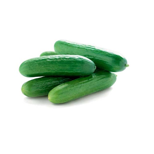 MINI CUCUMBER  迷你青瓜 （Case 箱装）