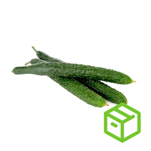 CHINESE CUCUMBER 带刺黄瓜（箱装）
